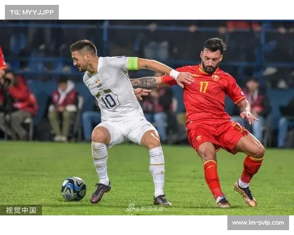 世界杯预选赛：塞尔维亚主场轻取黑山，弗拉霍维奇帽子戏法