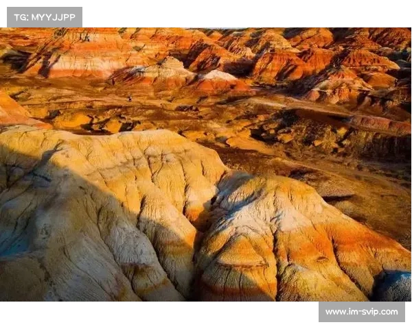 吸金!新疆旅游为何让游客感到“憋尿”煎熬?(新疆旅游正常吗) 吸金!新疆旅游为何让游客感到“憋尿”煎熬?(新疆旅游正常吗)